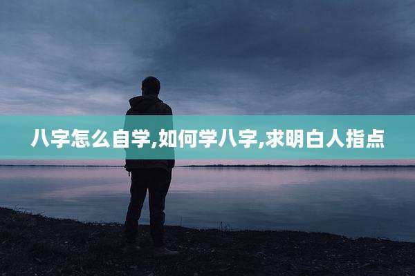 八字怎么自学,如何学八字,求明白人指点