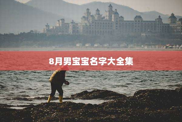 8月男宝宝名字大全集