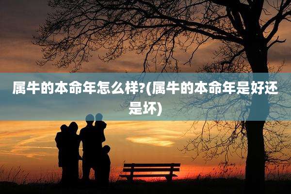 属牛的本命年怎么样?(属牛的本命年是好还是坏)