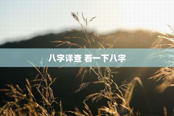 八字详查 看一下八字