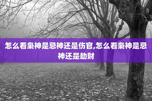 怎么看枭神是忌神还是伤官,怎么看枭神是忌神还是劫财