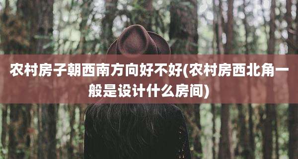 农村房子朝西南方向好不好(农村房西北角一般是设计什么房间)