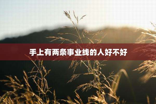 手上有两条事业线的人好不好