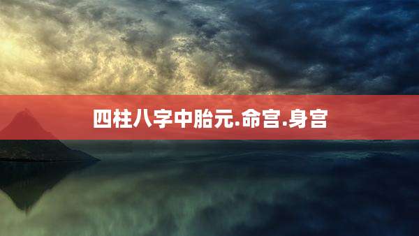 四柱八字中胎元.命宫.身宫