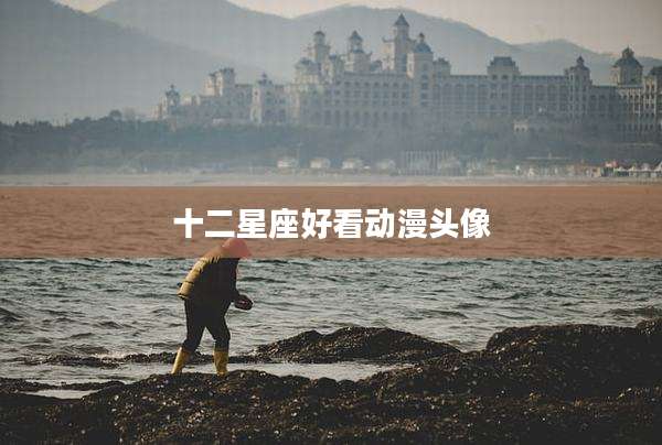 十二星座好看动漫头像