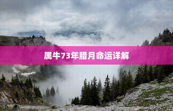 属牛73年腊月命运详解