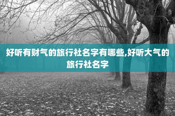 好听有财气的旅行社名字有哪些,好听大气的旅行社名字