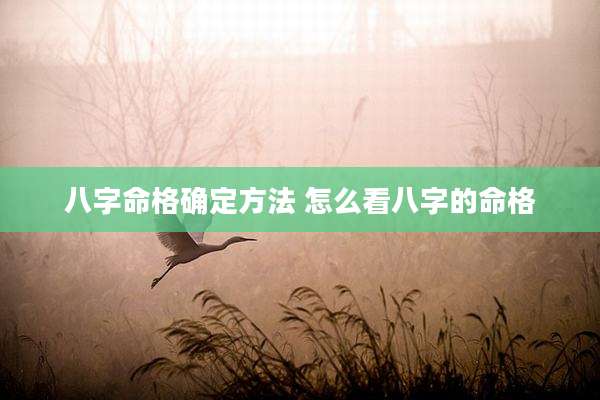 八字命格确定方法 怎么看八字的命格