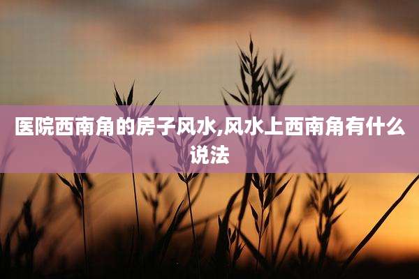 医院西南角的房子风水,风水上西南角有什么说法