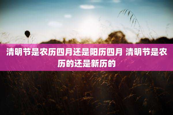 清明节是农历四月还是阳历四月 清明节是农历的还是新历的