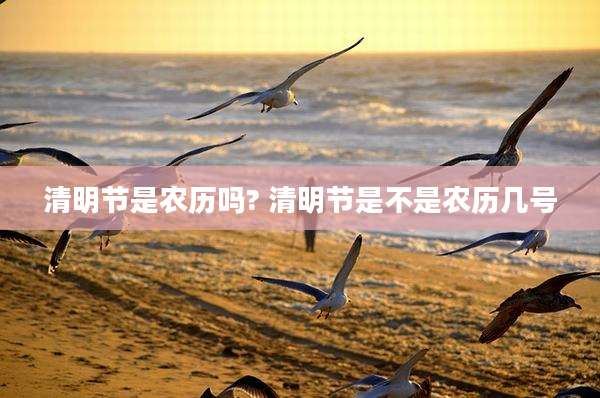 清明节是农历吗? 清明节是不是农历几号