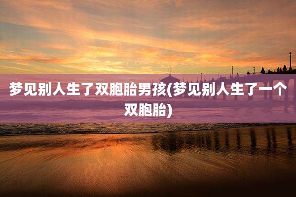 梦见别人生了双胞胎男孩(梦见别人生了一个双胞胎)