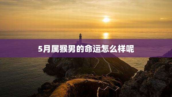 5月属猴男的命运怎么样呢