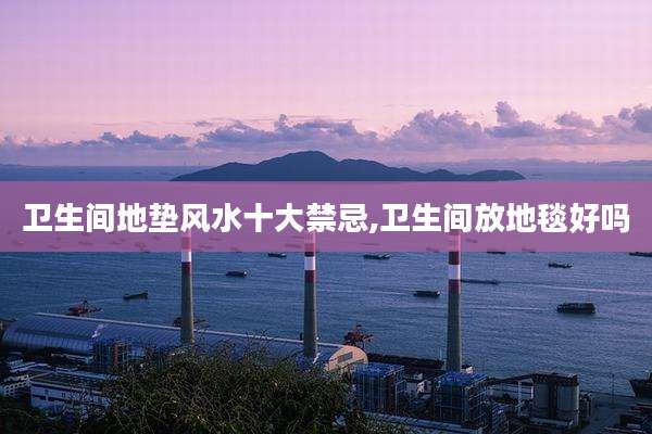 卫生间地垫风水十大禁忌,卫生间放地毯好吗