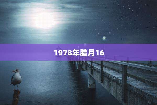 1978年腊月16