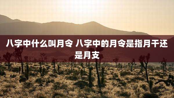 八字中什么叫月令 八字中的月令是指月干还是月支