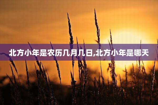 北方小年是农历几月几日,北方小年是哪天