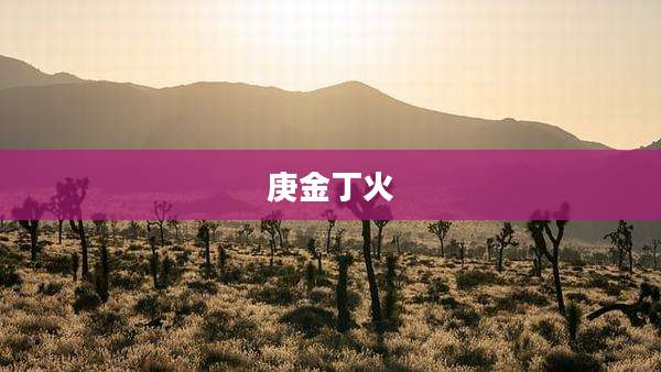 庚金丁火