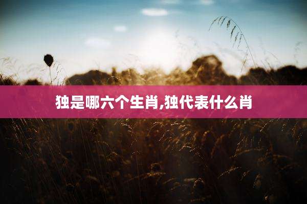 独是哪六个生肖,独代表什么肖