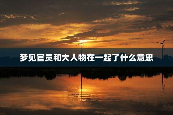 梦见官员和大人物在一起了什么意思