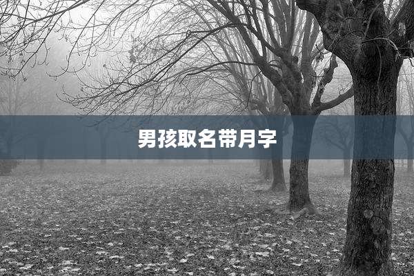 男孩取名带月字
