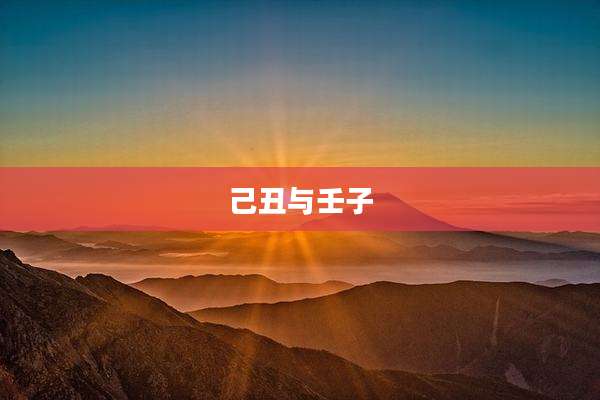 己丑与壬子