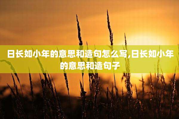日长如小年的意思和造句怎么写,日长如小年的意思和造句子