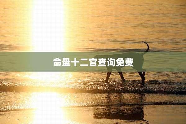 命盘十二宫查询免费