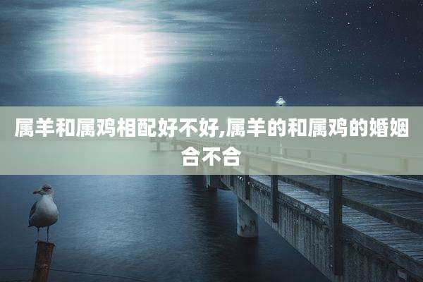 属羊和属鸡相配好不好,属羊的和属鸡的婚姻合不合