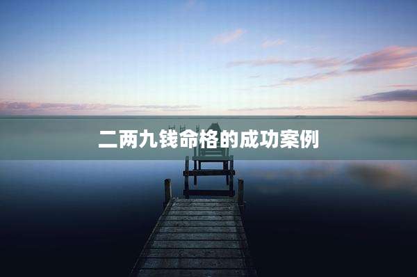 二两九钱命格的成功案例
