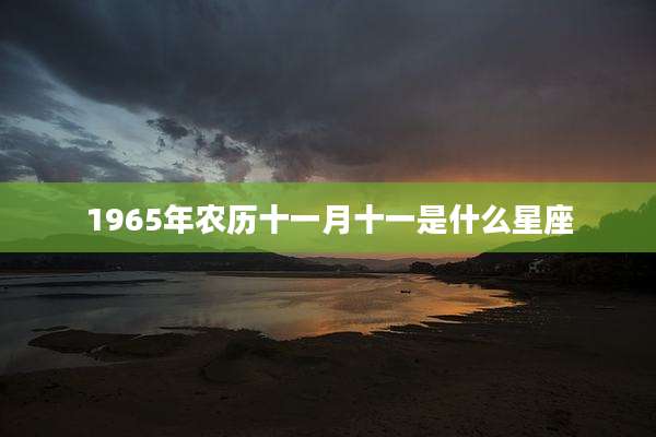1965年农历十一月十一是什么星座