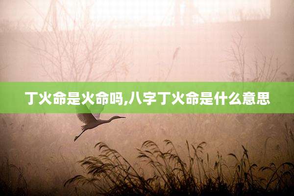 丁火命是火命吗,八字丁火命是什么意思