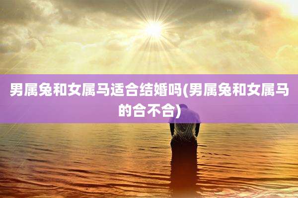 男属兔和女属马适合结婚吗(男属兔和女属马的合不合)