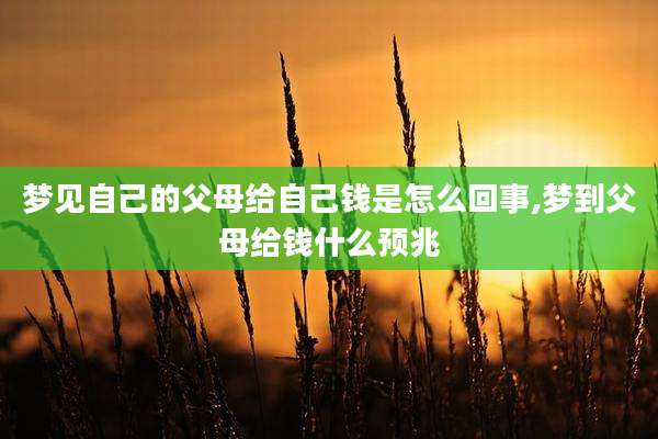 梦见自己的父母给自己钱是怎么回事,梦到父母给钱什么预兆