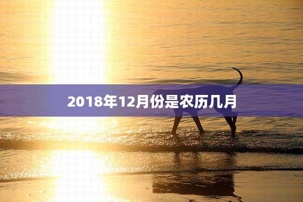 2018年12月份是农历几月