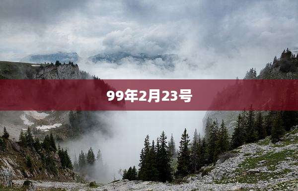 99年2月23号