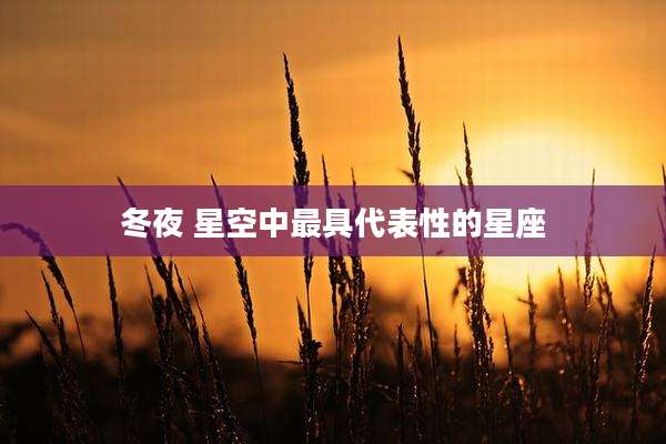 冬夜 星空中最具代表性的星座