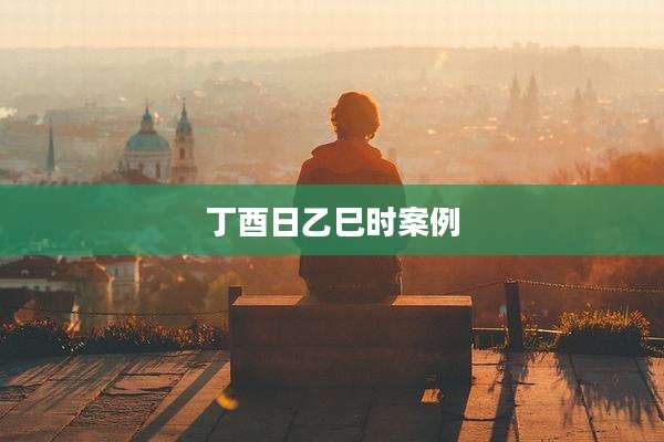 丁酉日乙巳时案例