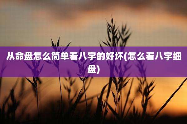 从命盘怎么简单看八字的好坏(怎么看八字细盘)