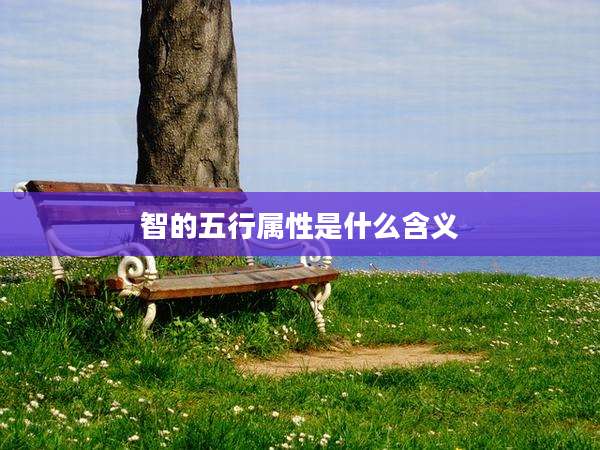 智的五行属性是什么含义