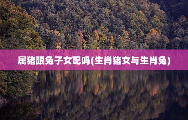 属猪跟兔子女配吗(生肖猪女与生肖兔)