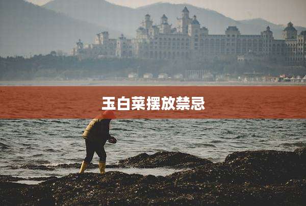 玉白菜摆放禁忌
