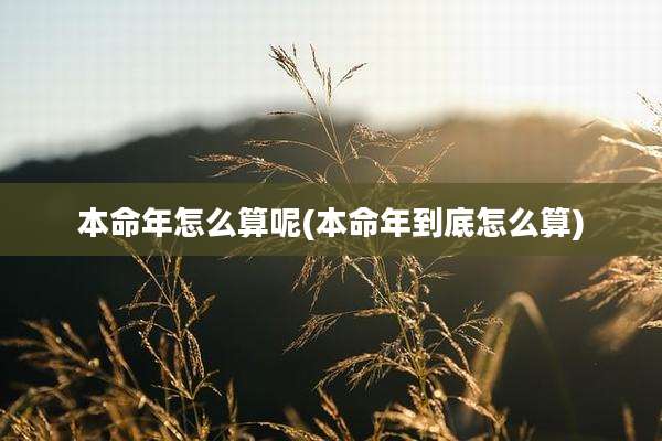 本命年怎么算呢(本命年到底怎么算)