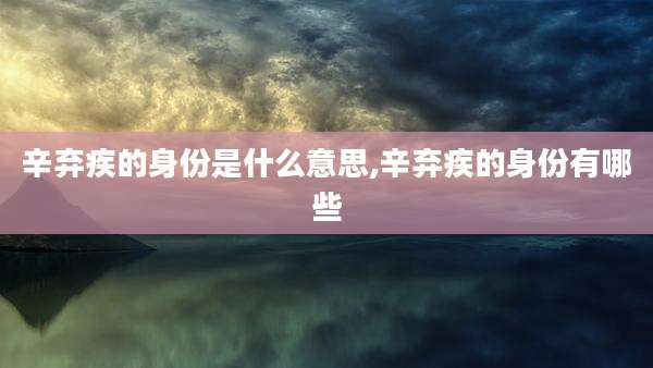 辛弃疾的身份是什么意思,辛弃疾的身份有哪些