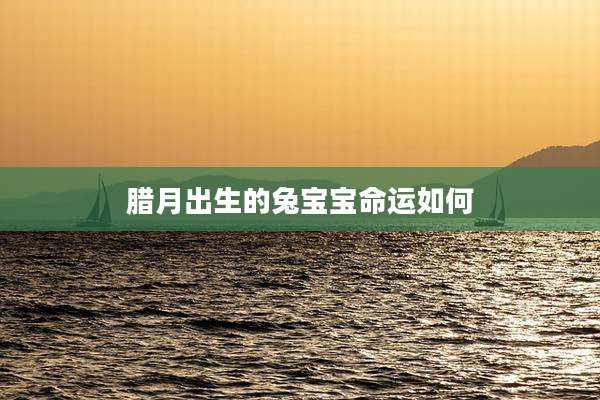腊月出生的兔宝宝命运如何