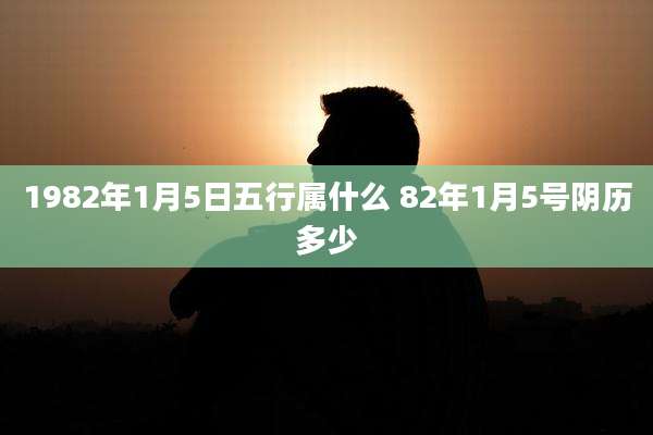 1982年1月5日五行属什么 82年1月5号阴历多少