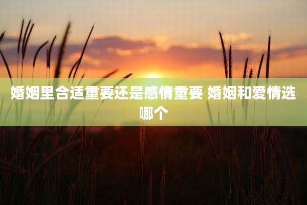 婚姻里合适重要还是感情重要 婚姻和爱情选哪个