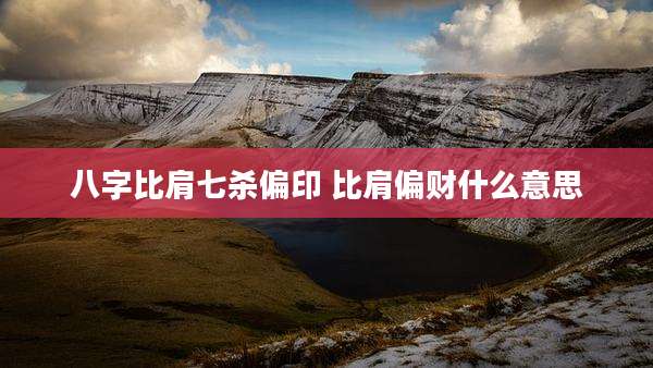 八字比肩七杀偏印 比肩偏财什么意思