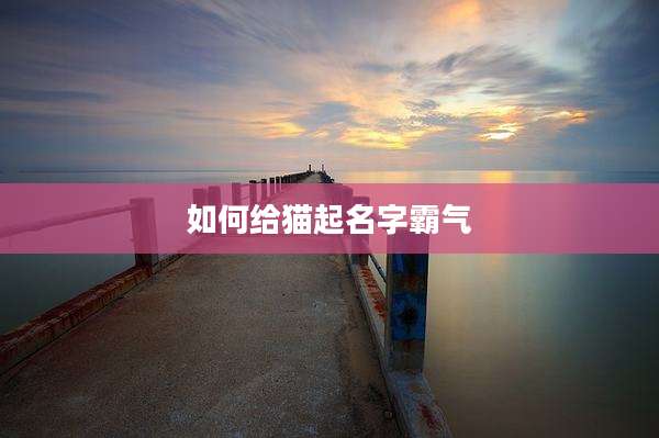 如何给猫起名字霸气