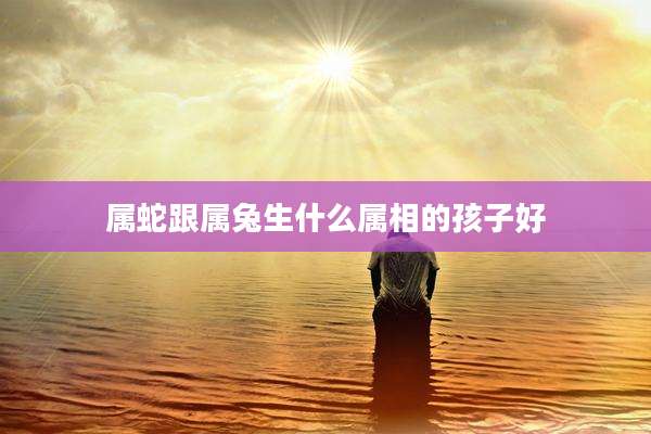 属蛇跟属兔生什么属相的孩子好